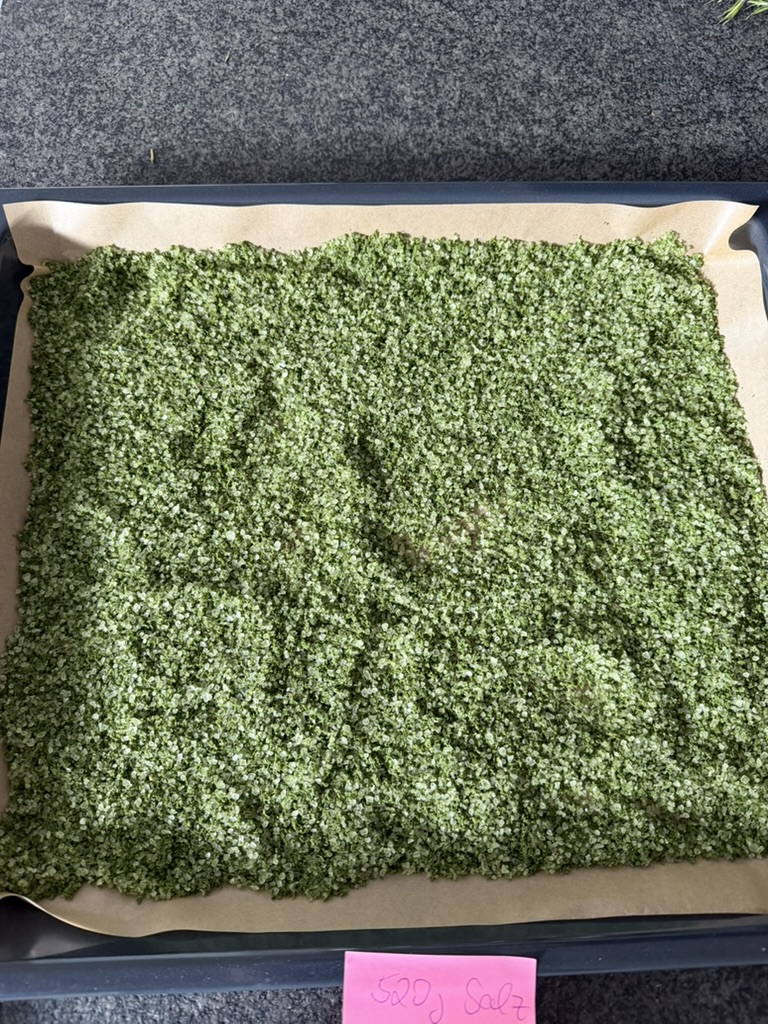 Frisch gemahlenes grünes Rosmarinsalz trocknet auf einem mit Backpapier belegten Blech