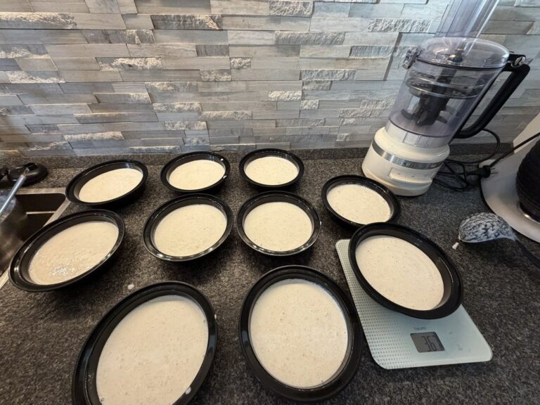Zehn Portionen selbst gemachter Vanille-Proteinpudding auf Gregors Küchenarbeitsplatte